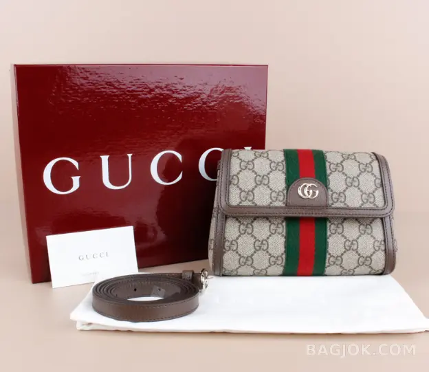 구찌 Gucci 오피디아 미니 숄더백 상세 이미지