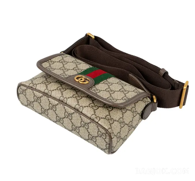 구찌 Gucci 오피디아 미니 크로스백 상세 이미지