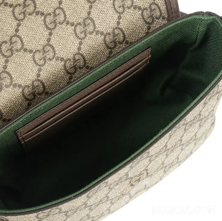 구찌 Gucci 오피디아 미니 크로스백 상세 이미지