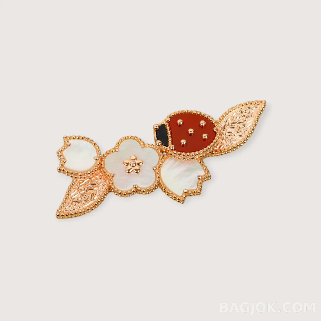 Van Cleef & Arpels Lucky Spring 무당벌레 브로치_대표이미지