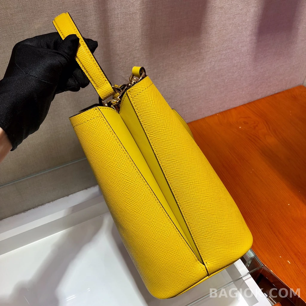 프라다 Prada 더블 핸드백 사피아노 상세 이미지