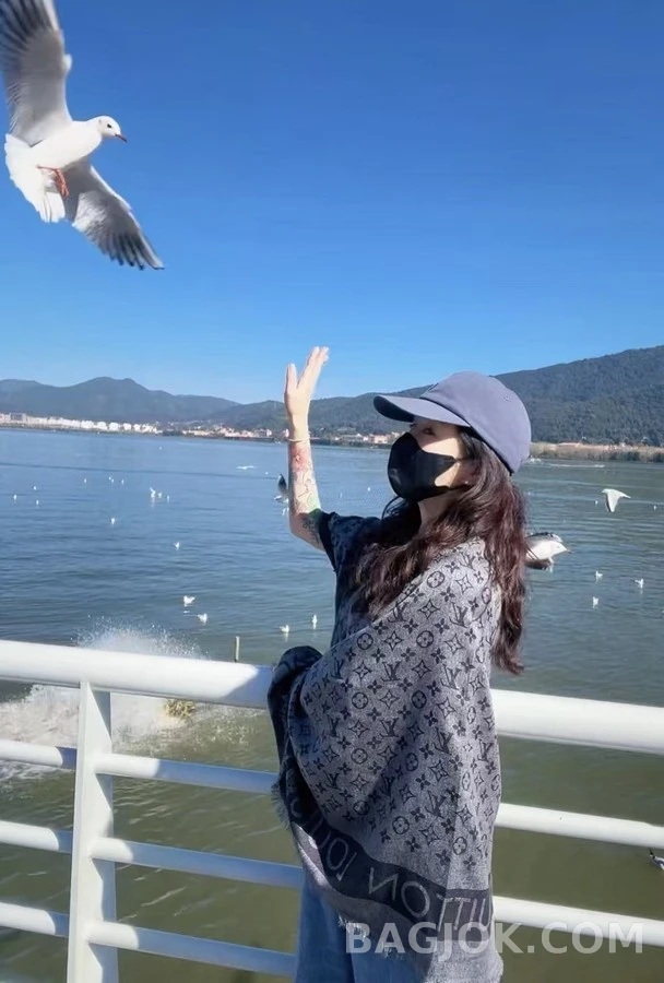 루이비통 루이비통 모노그램 더블 페이스 블랭킷 숄 상세 이미지