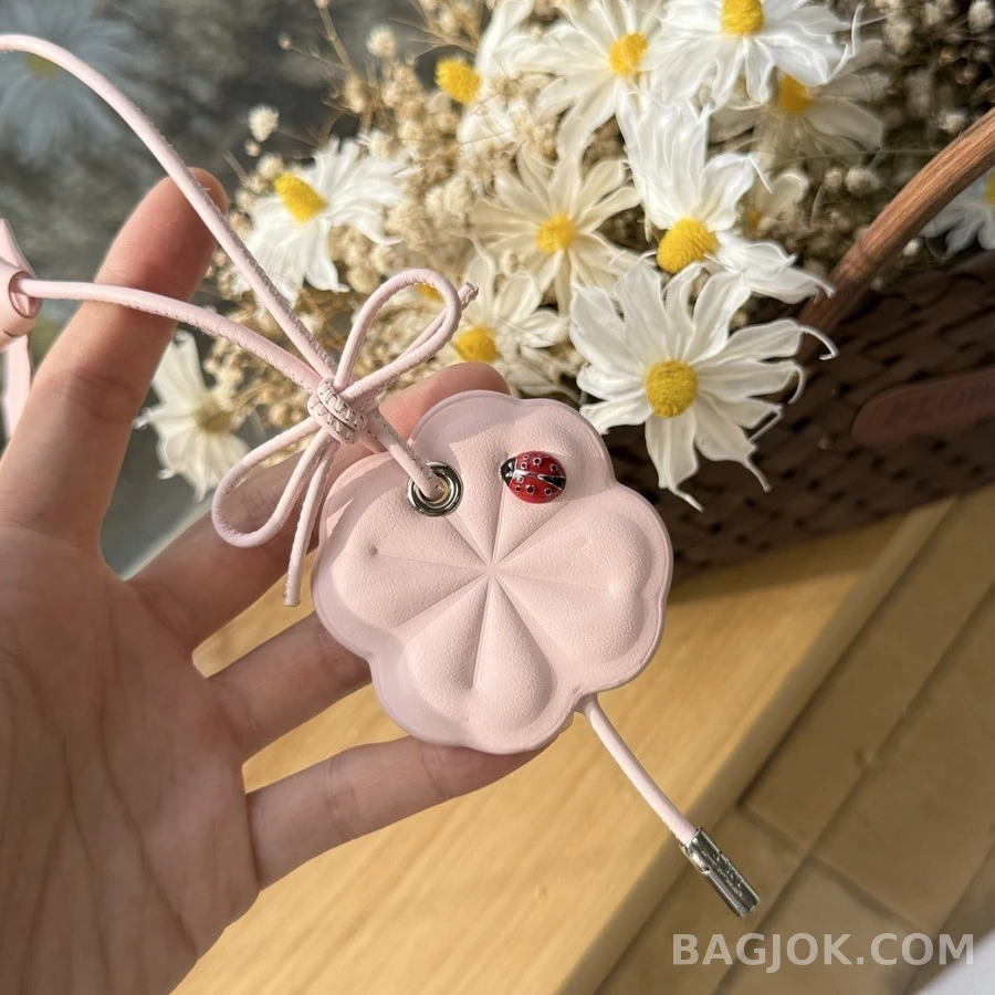 디올 디올 클로버 레이디버그 참 상세 이미지