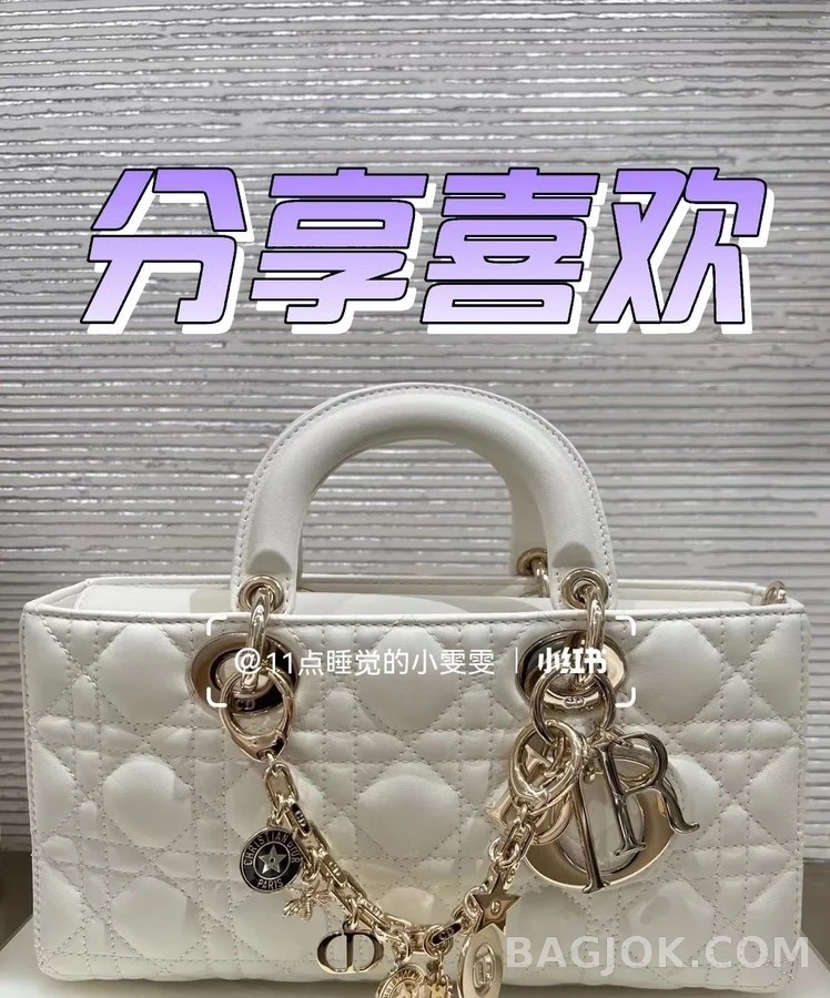 디올 디올 심볼 참 체인 상세 이미지