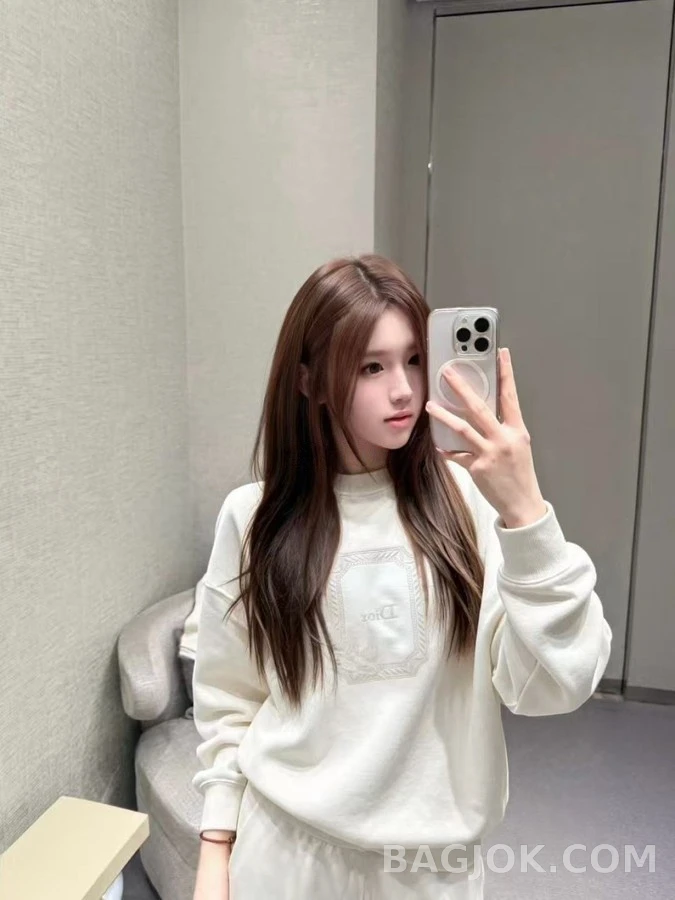 디올 디올 메달리온 콜리브리 맨투맨 상세 이미지