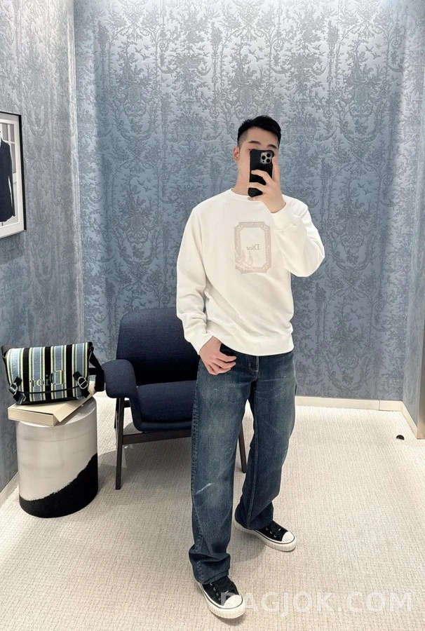 디올 디올 벌새 자수 맨투맨 상세 이미지