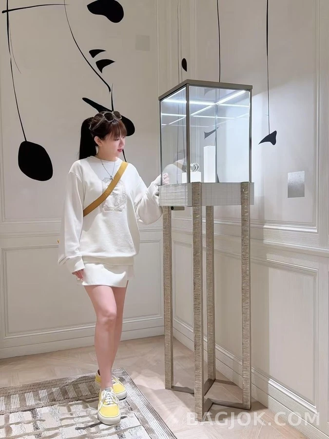디올 디올 벌새 자수 맨투맨 상세 이미지