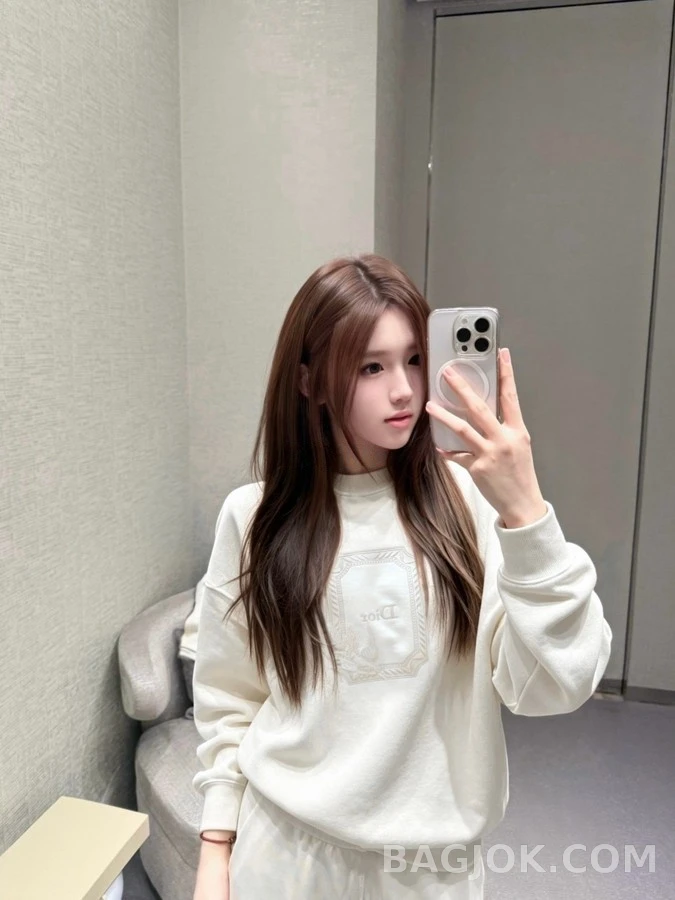 디올 디올 벌새 자수 맨투맨 상세 이미지