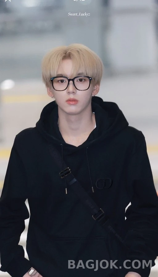 디올 디올 아이콘 자수 후드티 상세 이미지