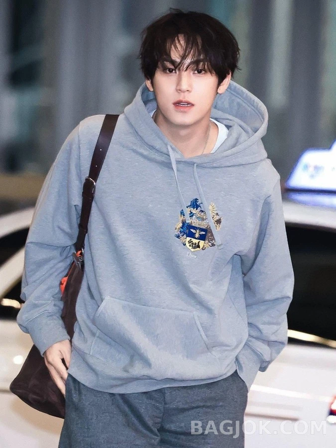 디올 디올 엠블럼 자수 후드 스웨트셔츠 상세 이미지