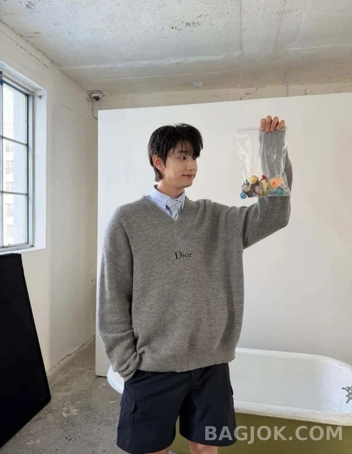 디올 디올 자수 V넥 니트 상세 이미지