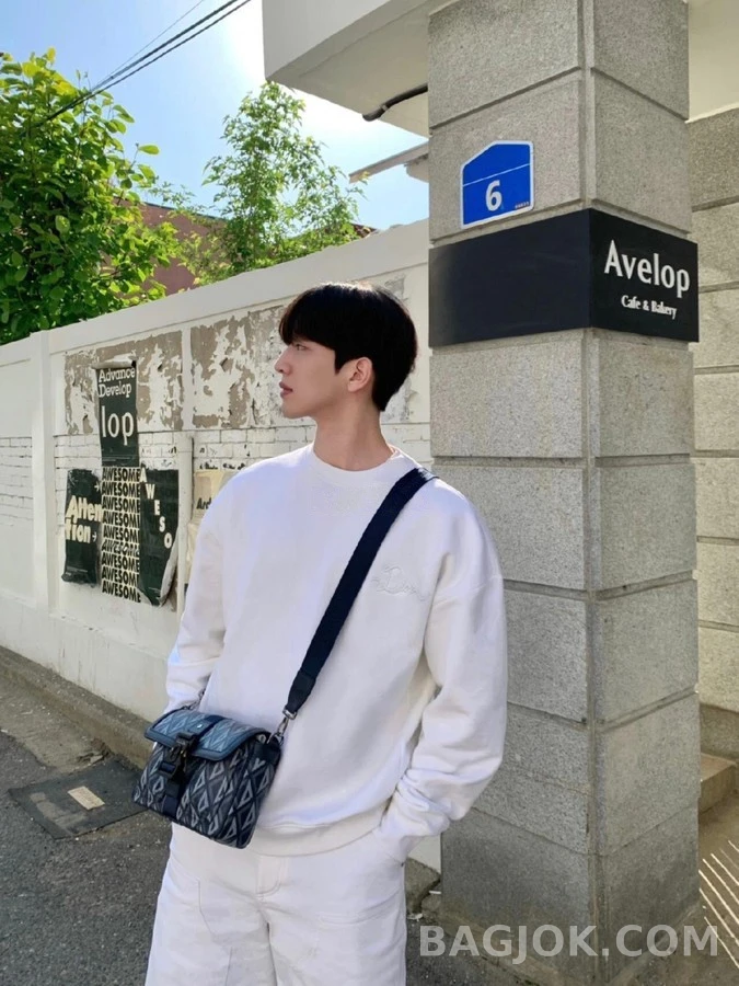 디올 디올 자카드 로고 맨투맨 상세 이미지