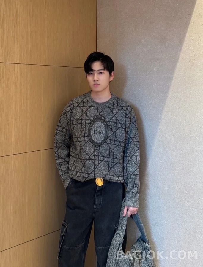 디올 디올 캐나쥬 패턴 로고 배지 니트 상세 이미지