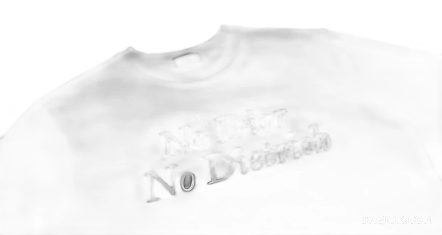 디올 디올 No No Dietrich 레터링 맨투맨 상세 이미지