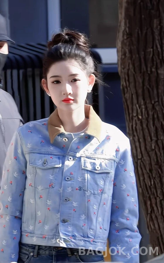 디올 디올 장미 자수 데님 자켓 상세 이미지