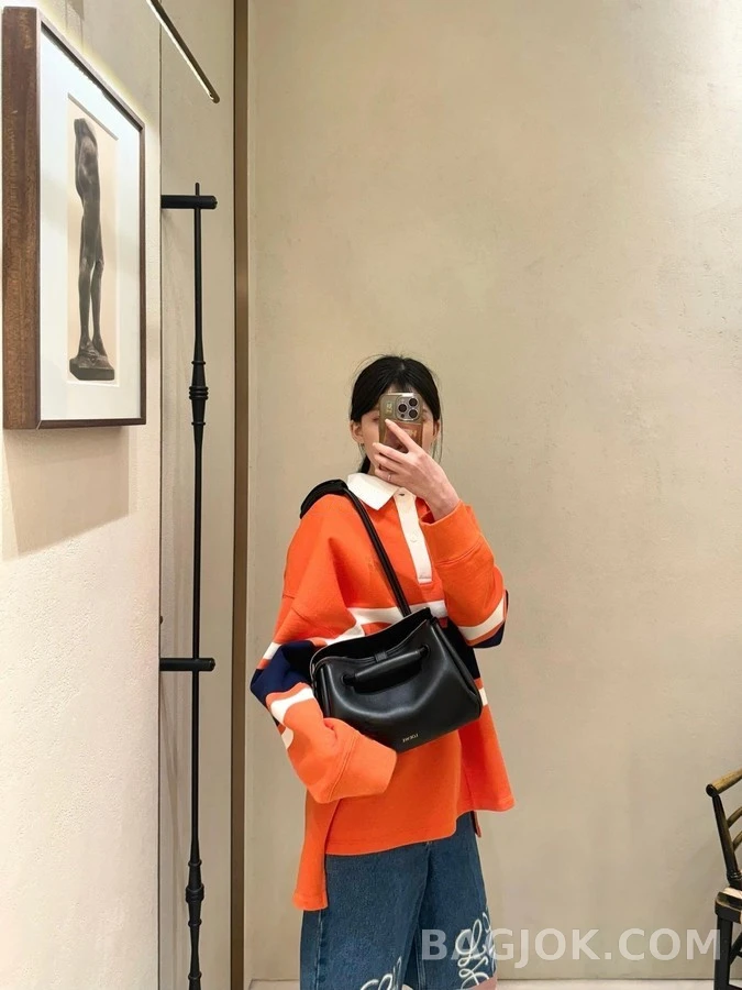 로에베 로에베 배색 스트라이프 긴팔 폴로 티셔츠 상세 이미지