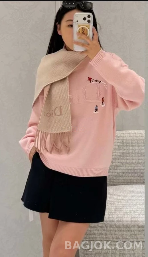 디올 디올 스키 소인 자수 라운드넥 니트 상세 이미지