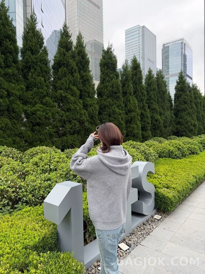 셀린느 셀린느 트리옹프 자수 니트 후드 집업 상세 이미지