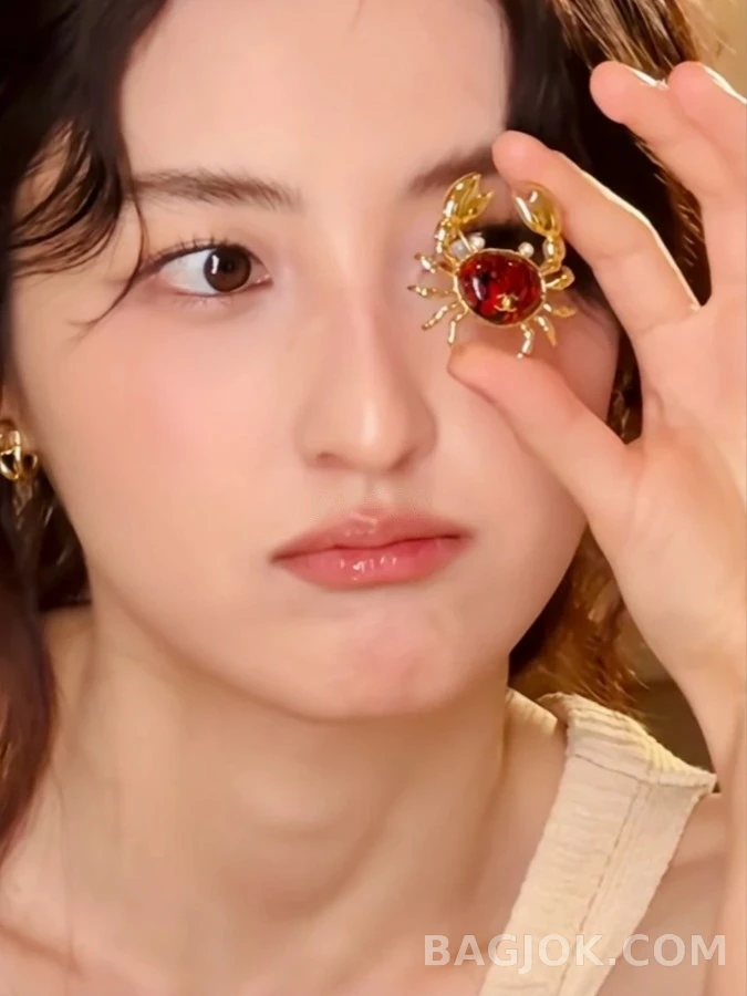 샤넬 샤넬 크랩 브로치 상세 이미지