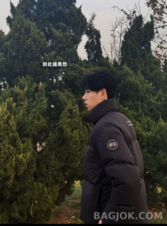 캐나다구스 캐나다 구스 Lawrence 하이넥 패딩 상세 이미지