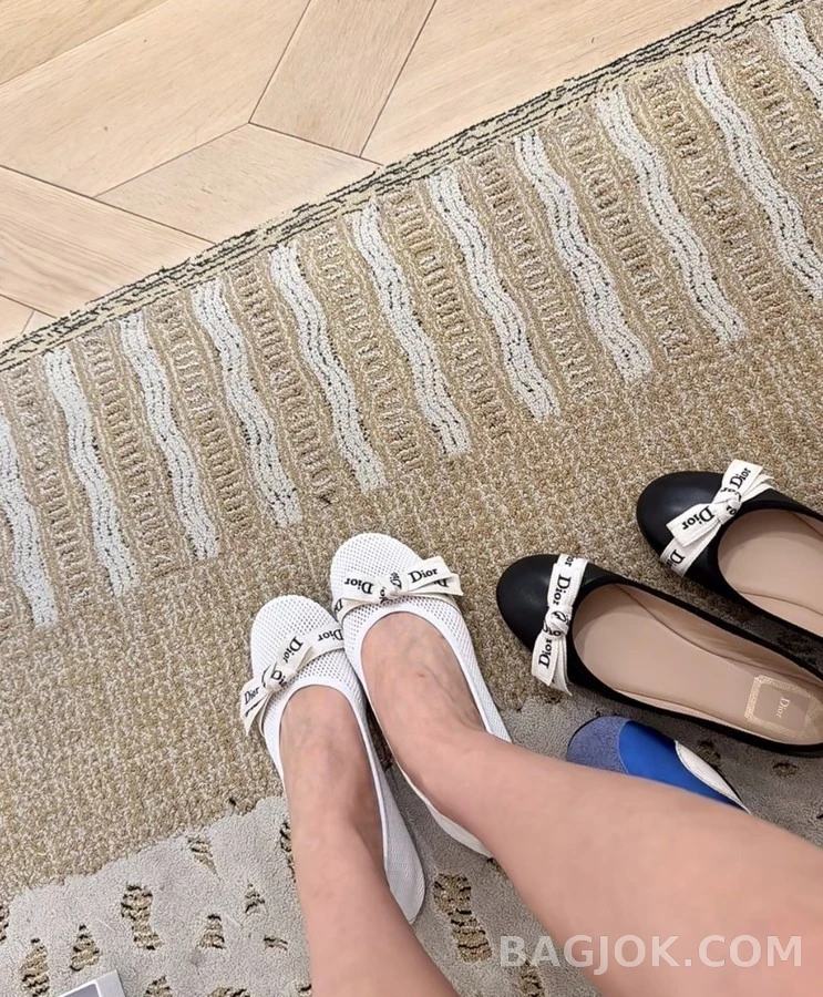 디올 디올 메쉬 레터링 플랫 상세 이미지