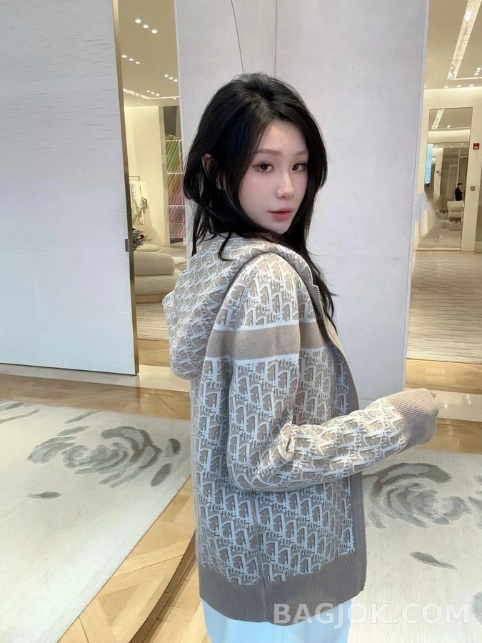 디올 디올 오블리크 자카드 후드 집업 상세 이미지