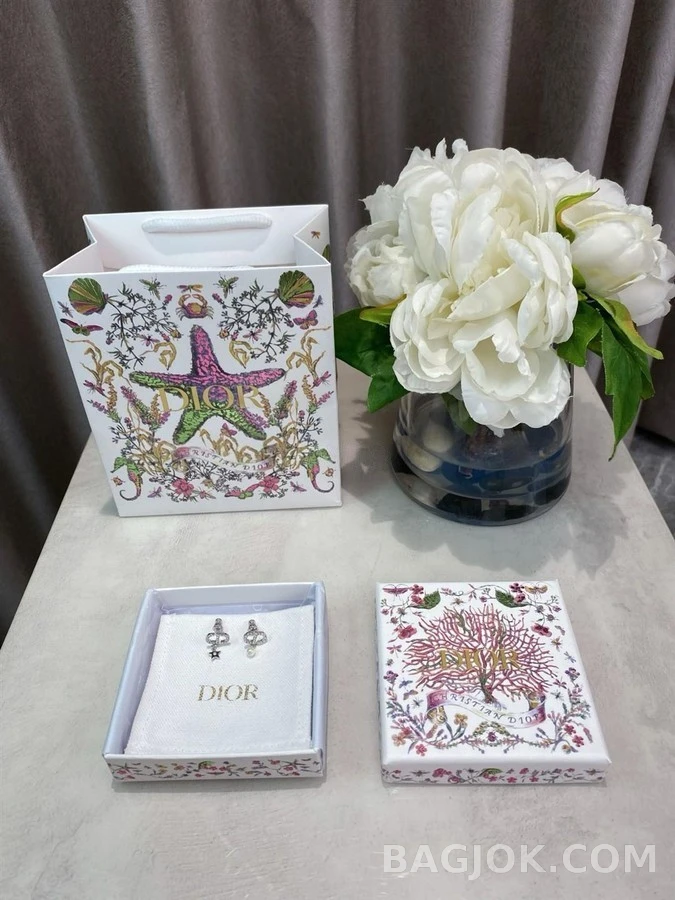 디올 디올 쁘띠 CD 럭키 참 귀걸이 상세 이미지