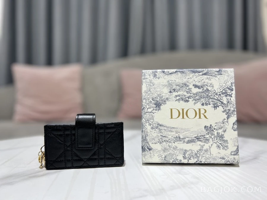 디올 디올 LADY DIOR 포켓 카드 지갑 상세 이미지