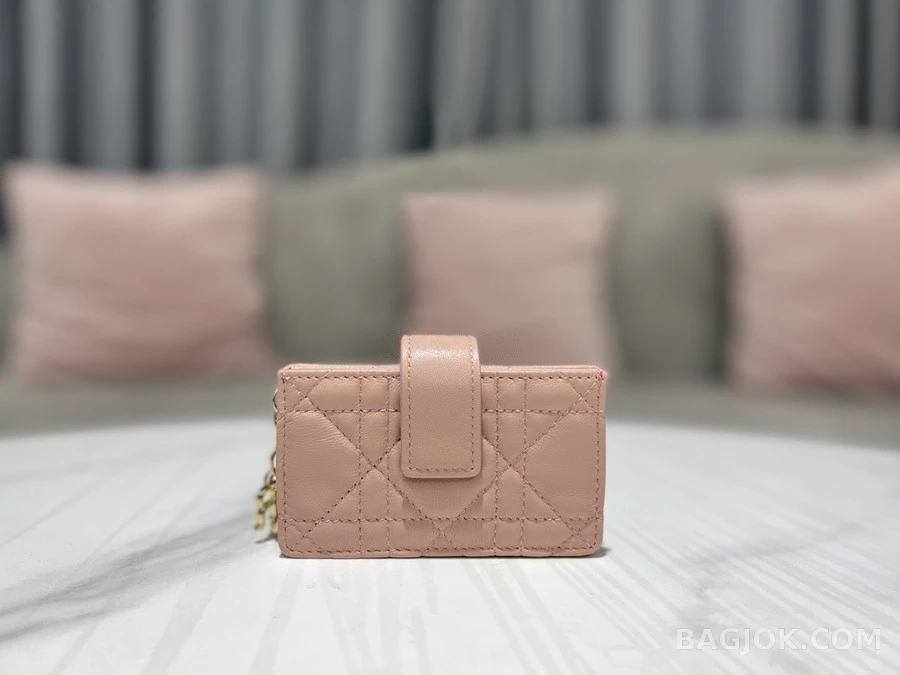 디올 디올 LADY DIOR 포켓 카드 지갑 상세 이미지