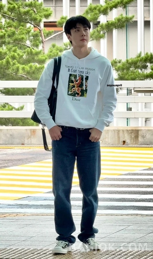 디올 디올 가토파르도 레오파드 그래픽 후드티 상세 이미지