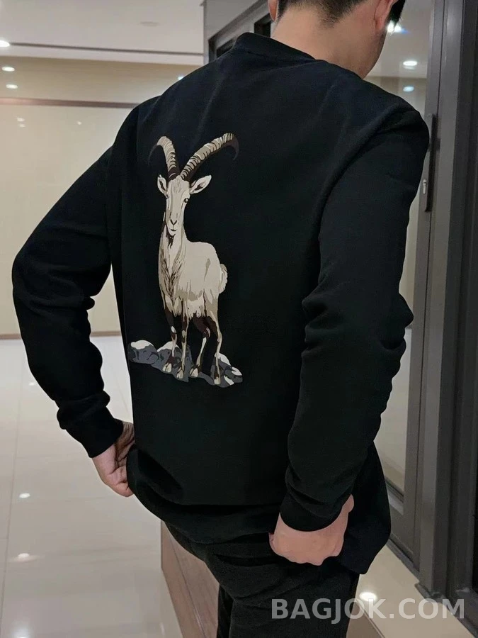 디올 디올 로고 맨투맨 상세 이미지