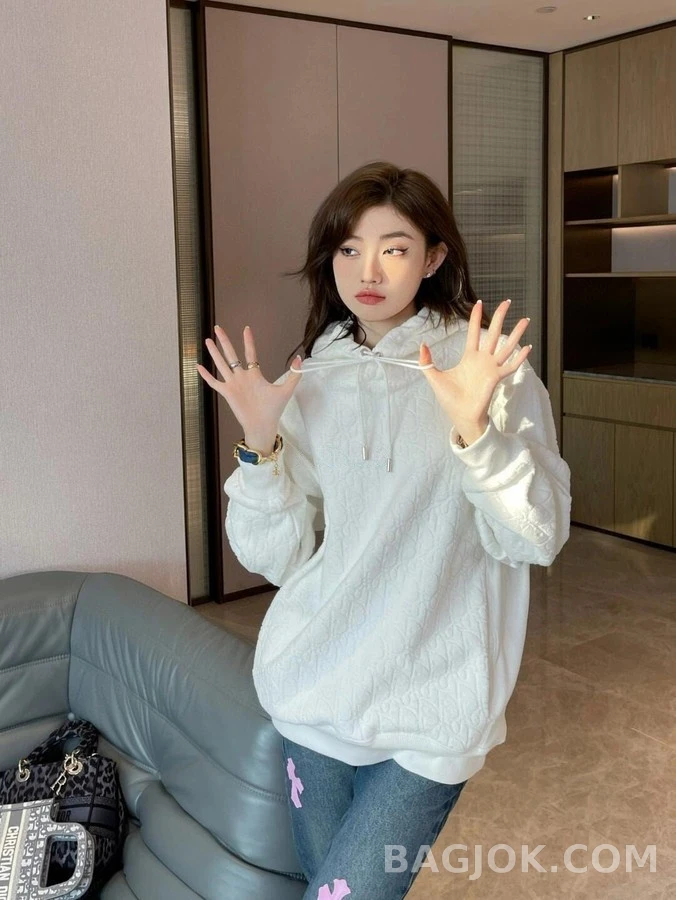 디올 디올 오블리크 자카드 후드티 상세 이미지