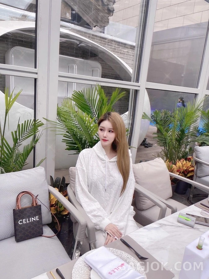 디올 디올 오블리크 자카드 후드티 상세 이미지