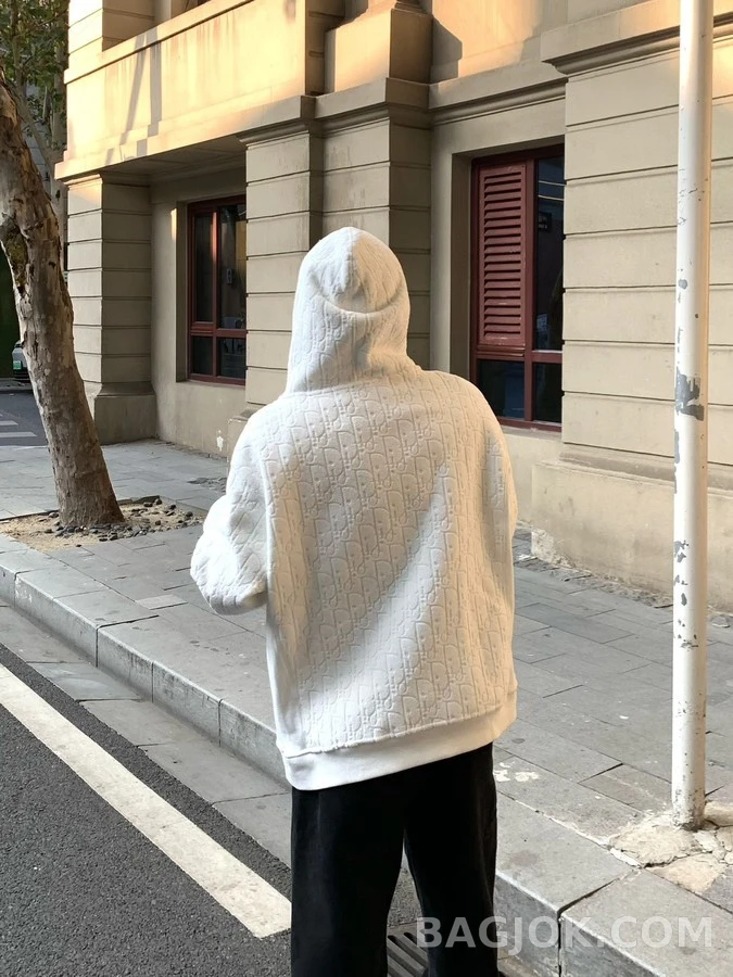 디올 디올 오블리크 자카드 후드티 상세 이미지