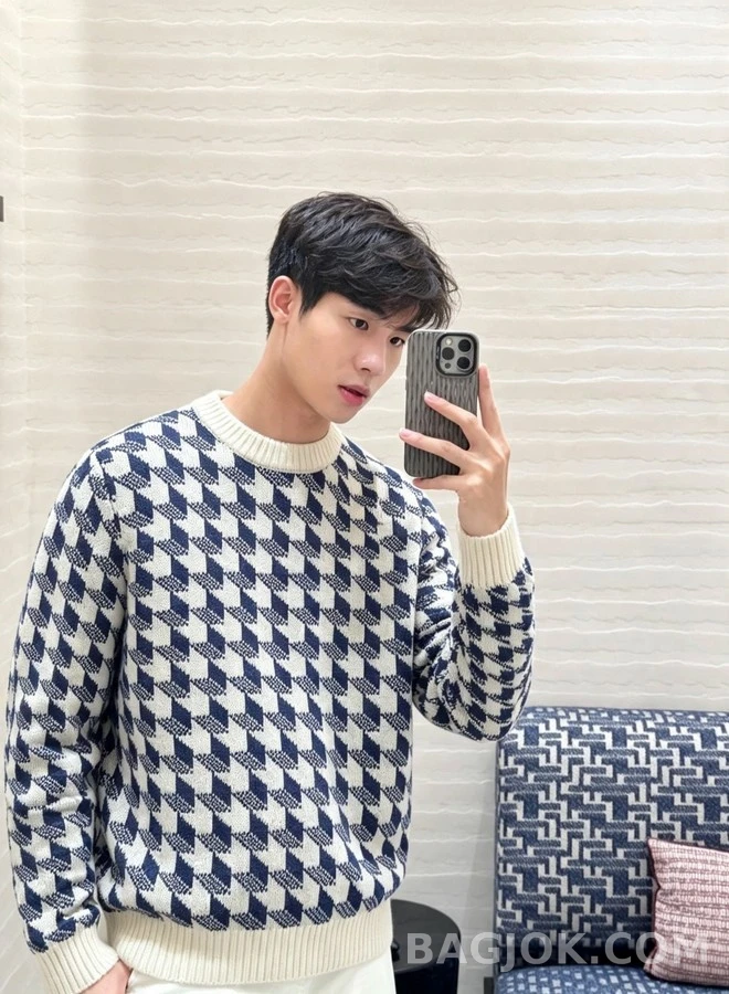 디올 디올 하운드투스 라운드넥 니트 상세 이미지