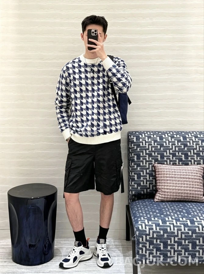 디올 디올 하운드투스 라운드넥 니트 상세 이미지