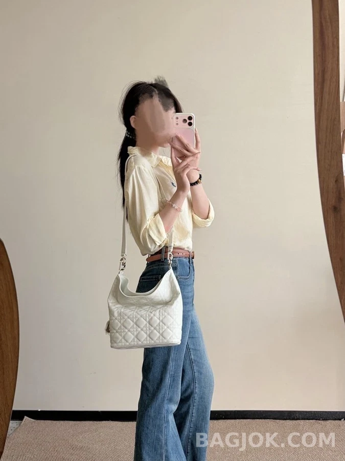 디올 디올 바이브 스몰 호보백 상세 이미지