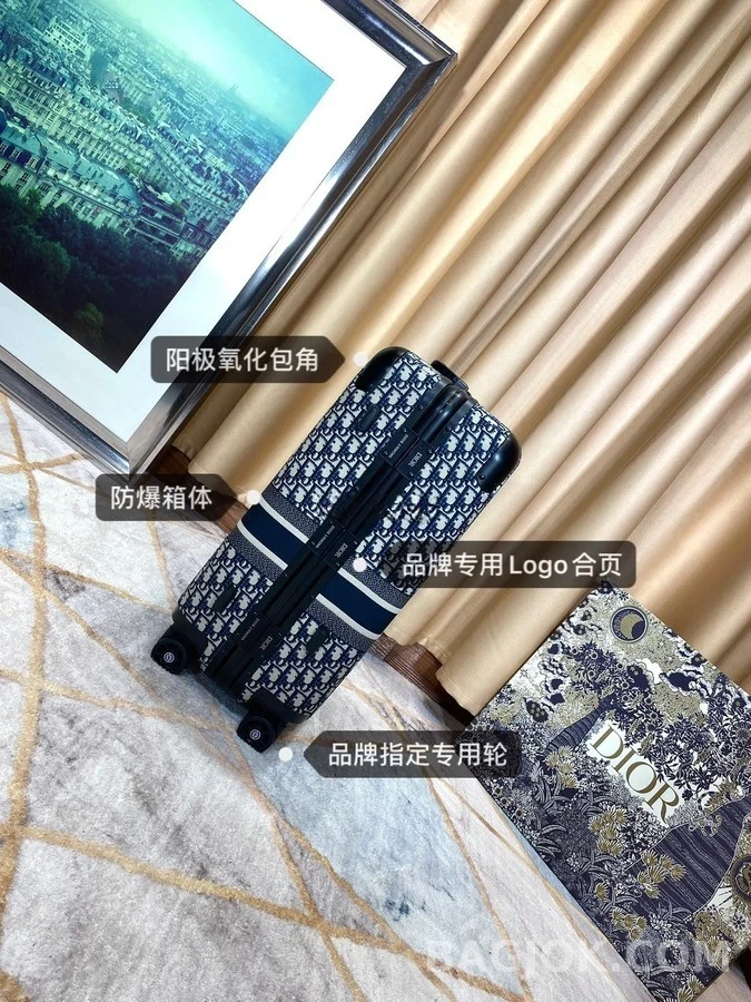 디올 디올 오블리크 스몰 트래블 슈트케이스 상세 이미지