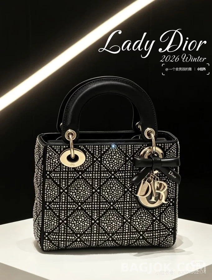 디올 디올 레이디 스트라스 미니 까나쥬 새틴 핸드백 상세 이미지