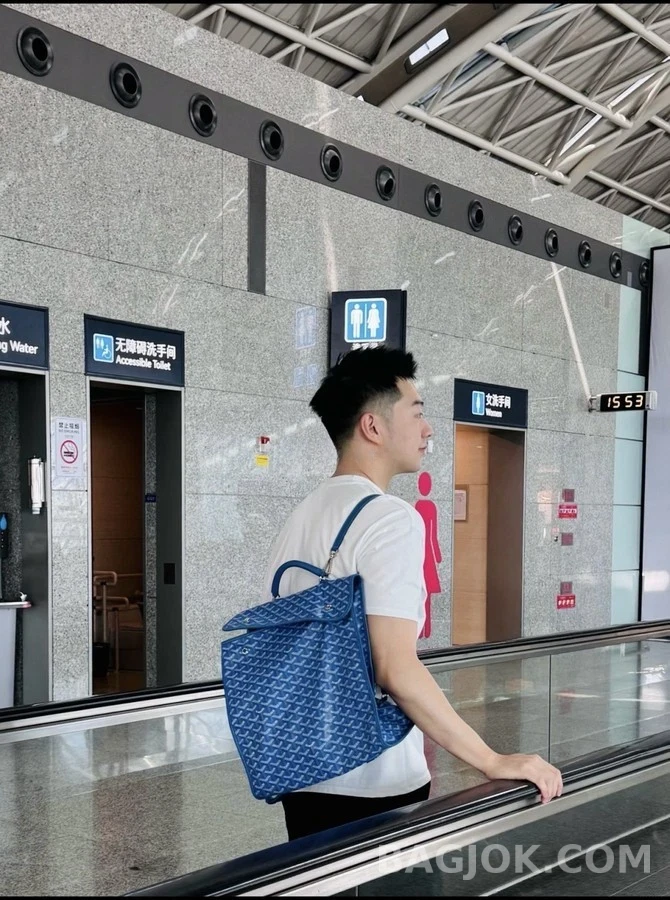 고야드 고야드 앙바사드 브리프케이스 상세 이미지