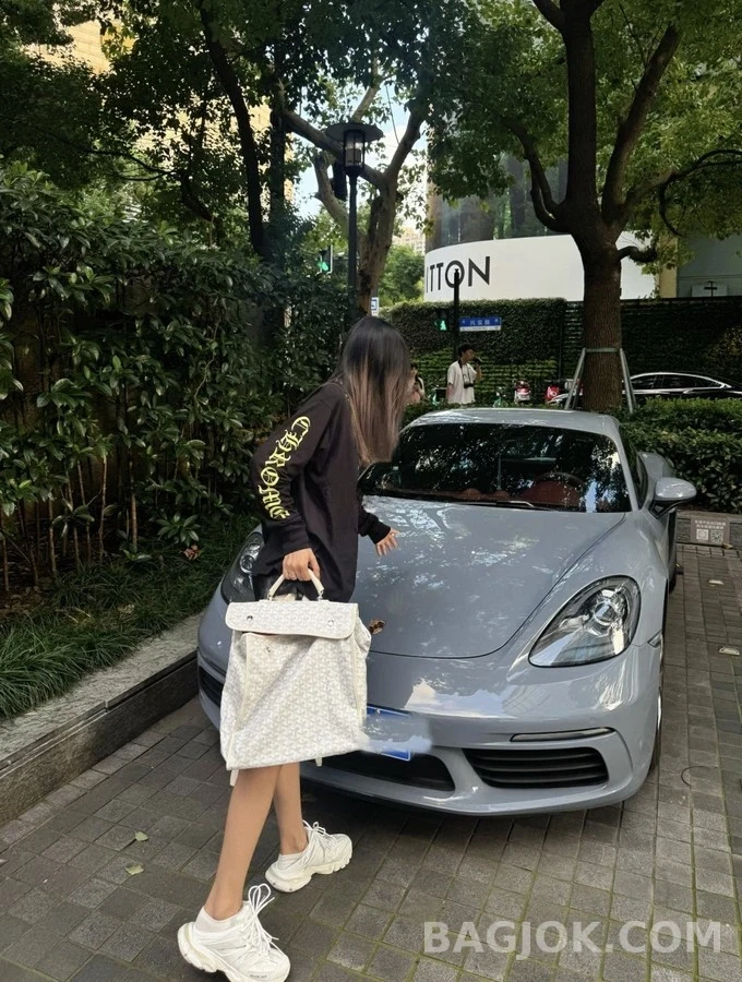 고야드 고야드 앙바사드 브리프케이스 상세 이미지