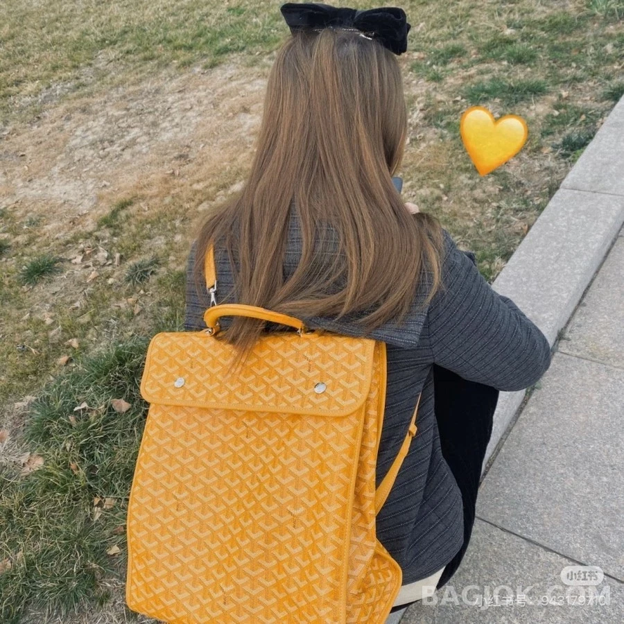 고야드 고야드 앙바사드 브리프케이스 상세 이미지