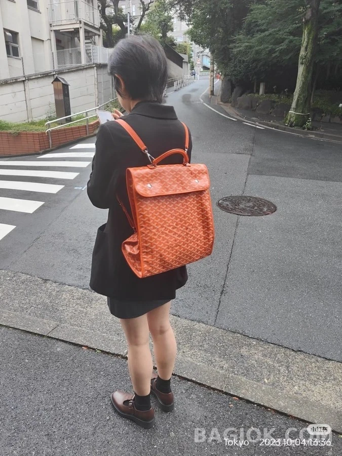 고야드 고야드 앙바사드 브리프케이스 상세 이미지