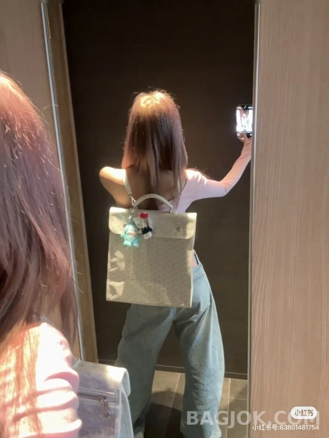 고야드 고야드 앙바사드 브리프케이스 상세 이미지