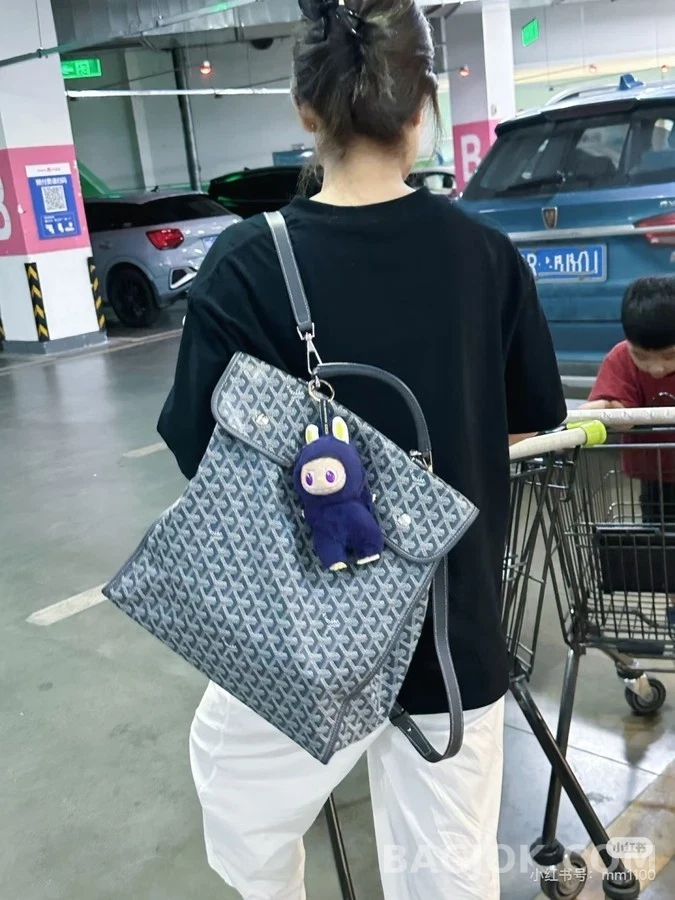 고야드 고야드 앙바사드 브리프케이스 상세 이미지