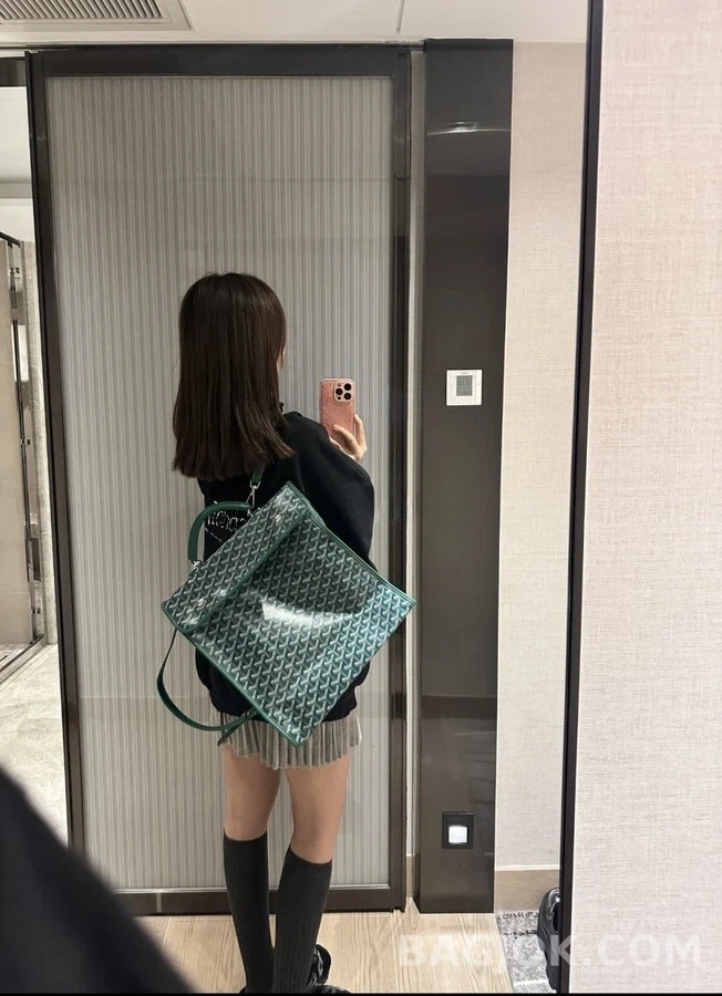 고야드 고야드 앙바사드 브리프케이스 상세 이미지
