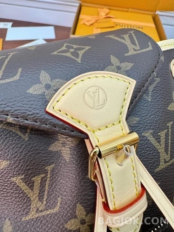 루이비통 루이비통 네오노에 버킷백 상세 이미지